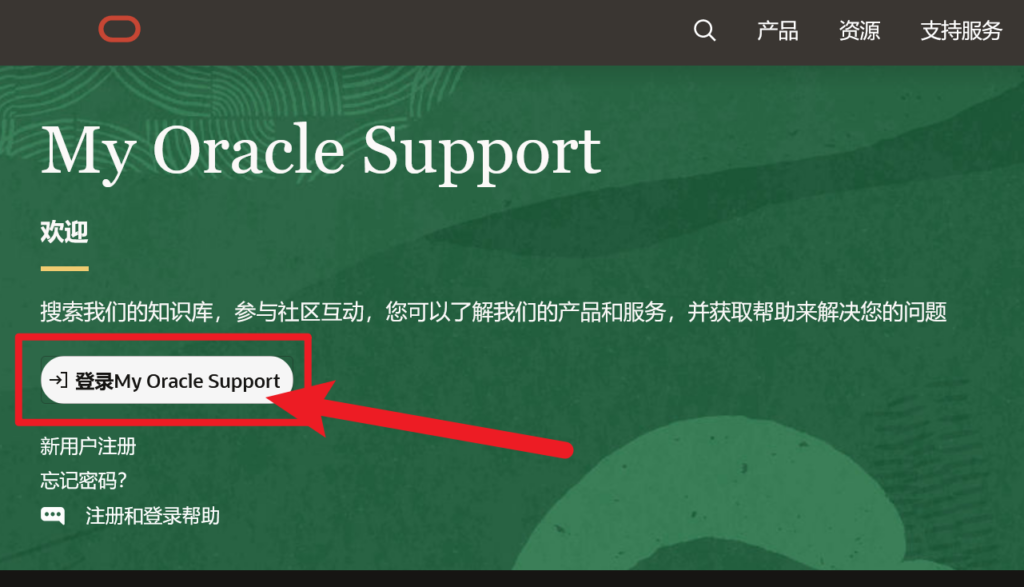 20240509101502854-oracle-1