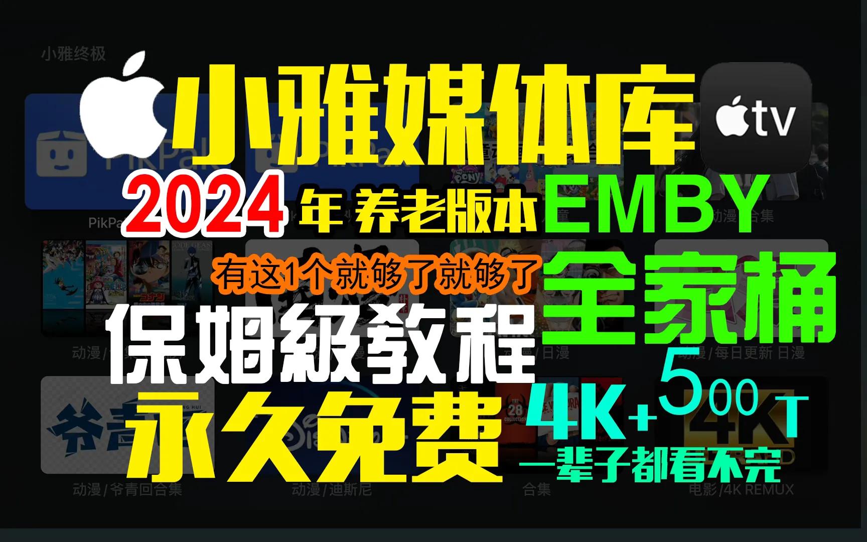 Windows电脑使用 小雅 xiaoya EMBY客户端下载-程序猿